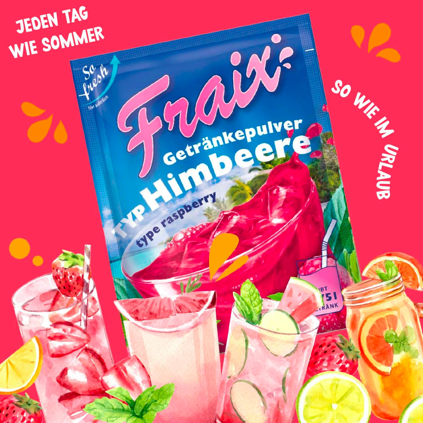 FRAIX Getränkepulver Himbeere 100g BT | 50er VPE